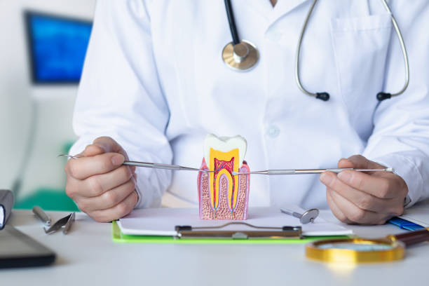 Best Emergency Dental Care for Broken or Chipped Teeth in Follansbee, WV